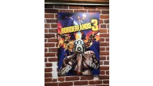 Borderlands 3 Comic Con Jaquette alternatives (3)