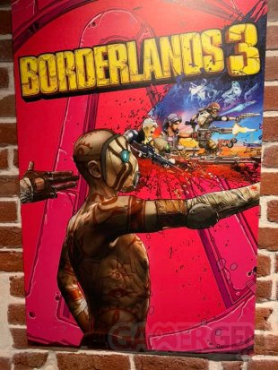 Borderlands 3 Comic Con Jaquette alternatives (81)