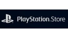 Bouton PlayStation Store telechargement