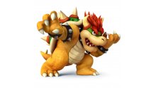 bowser-koopa