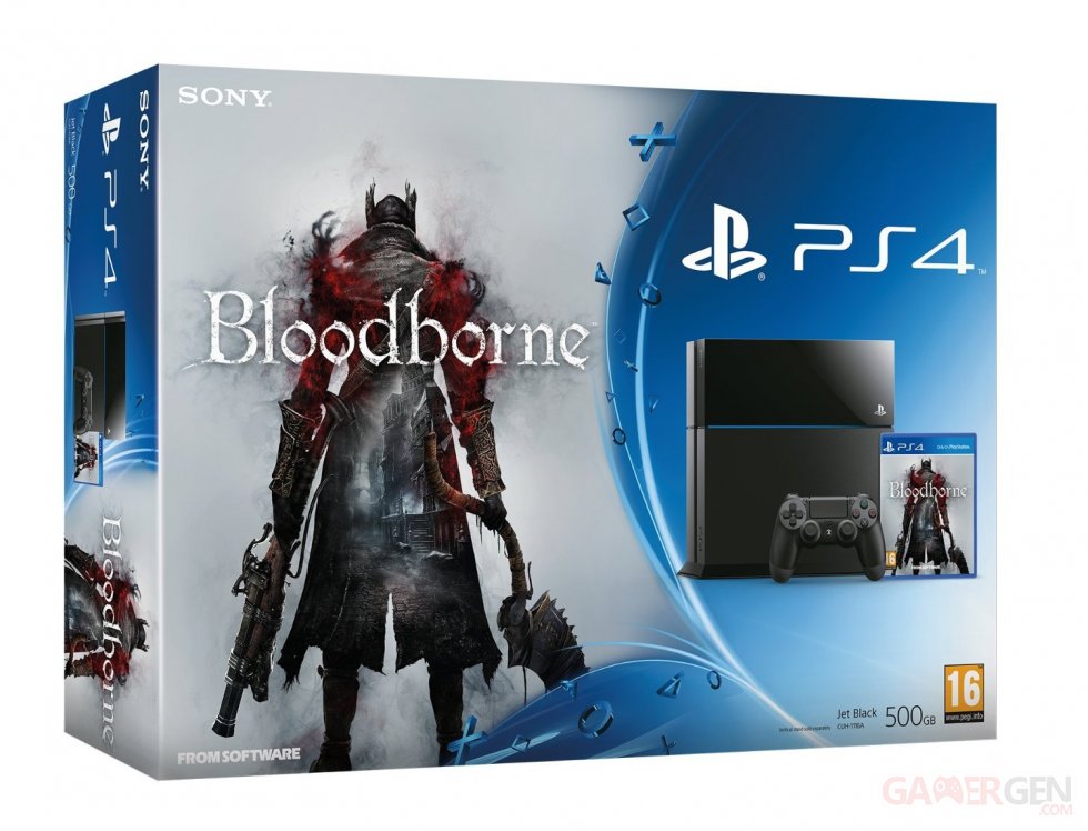 Bundle PS4 bloodborne pack