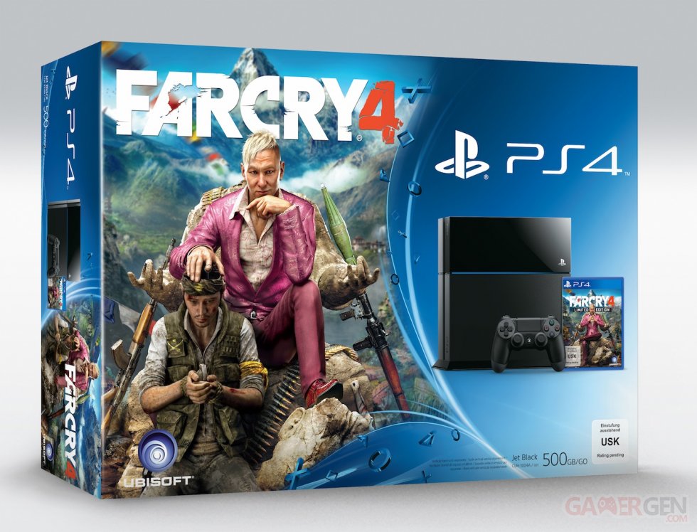 Bundle PS4 Far Cry 4