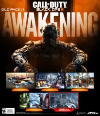 call of duty black ops Awakening