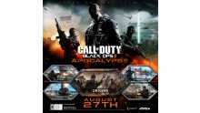 Call-of-Duty-Black-Ops-II-Apocalypse_art