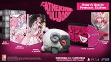 Catherine-Full-Body-Heart's-Desire-Premium-Edition-14-02-2019