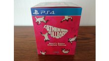 Catherine-Full-Body-unboxing-déballage-collector-Heart's-Desire-Premium-Edition-04-04-09-2019