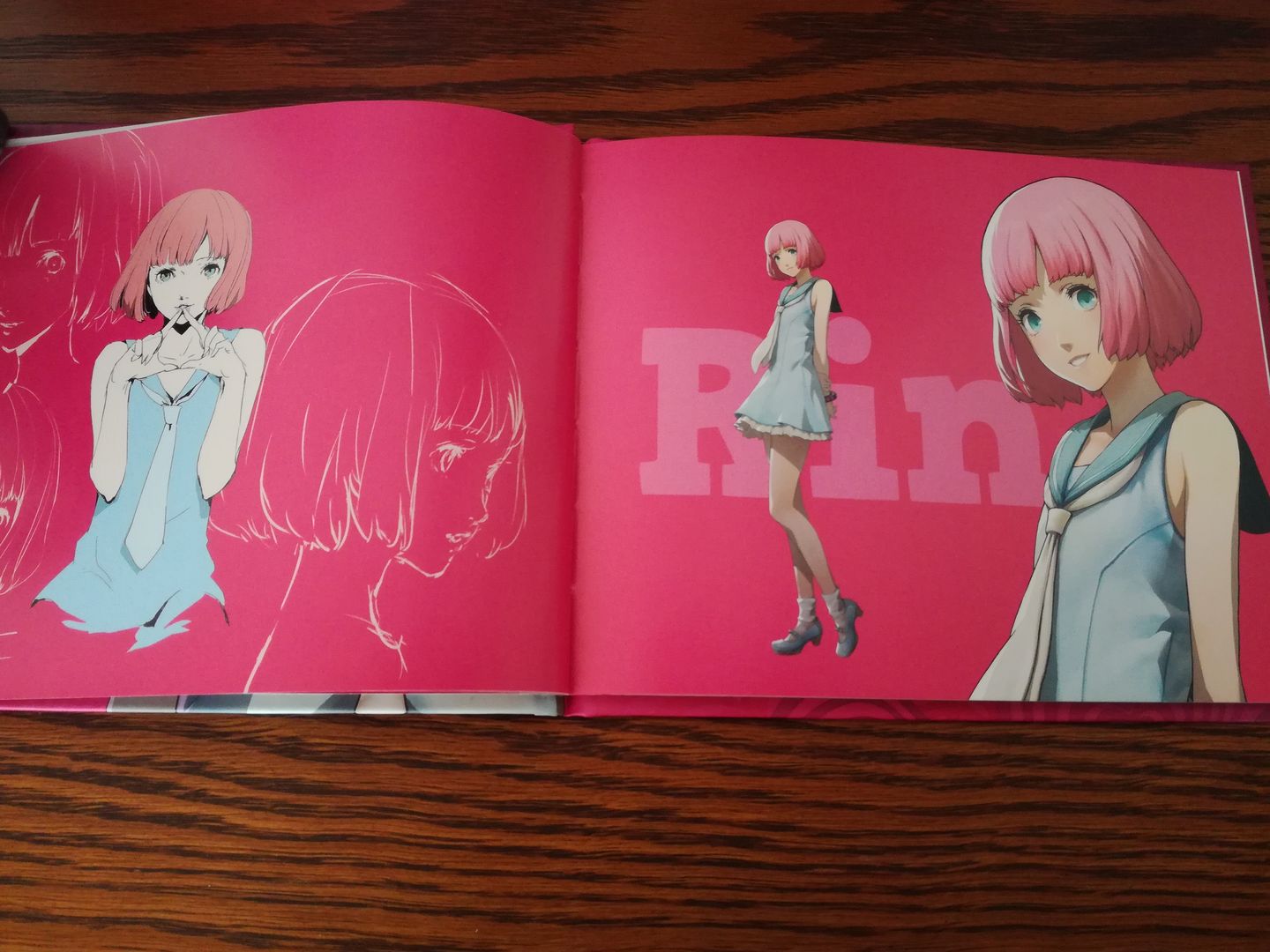 Catherine Full Body Heart Desire Premium Edition Artbook Art Book