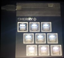 CherryMX test sample rot