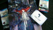 Child-of-light-collector-unboxing-photo-02