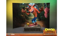 Crash Bandicoot First 4 Figures Figurine Statuette Exclusive Edition (10)