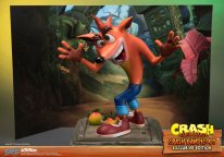 Crash Bandicoot First 4 Figures Figurine Statuette Exclusive Edition (11)