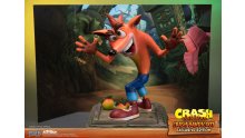 Crash Bandicoot First 4 Figures Figurine Statuette Exclusive Edition (11)