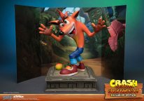 Crash Bandicoot First 4 Figures Figurine Statuette Exclusive Edition (12)