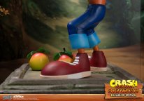 Crash Bandicoot First 4 Figures Figurine Statuette Exclusive Edition (13)
