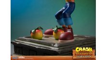 Crash Bandicoot First 4 Figures Figurine Statuette Exclusive Edition (18)