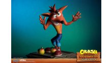 Crash Bandicoot First 4 Figures Figurine Statuette Exclusive Edition (19)