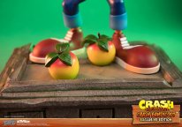 Crash Bandicoot First 4 Figures Figurine Statuette Exclusive Edition (22)