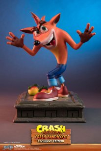 Crash Bandicoot First 4 Figures Figurine Statuette Exclusive Edition (25)