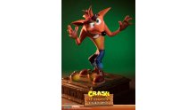 Crash Bandicoot First 4 Figures Figurine Statuette Exclusive Edition (28)