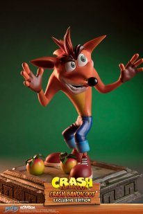 Crash Bandicoot First 4 Figures Figurine Statuette Exclusive Edition (30)