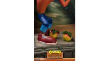 Crash Bandicoot First 4 Figures Figurine Statuette Exclusive Edition (32)