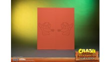 Crash Bandicoot First 4 Figures Figurine Statuette Exclusive Edition (7)