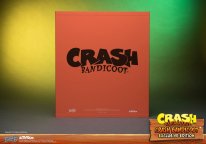 Crash Bandicoot First 4 Figures Figurine Statuette Exclusive Edition (8)