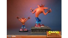 Crash Bandicoot First 4 Figures Figurine Statuette Regular Standard (27)