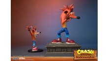 Crash Bandicoot First 4 Figures Figurine Statuette Regular Standard (28)
