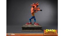 Crash Bandicoot First 4 Figures Figurine Statuette Regular Standard (8)