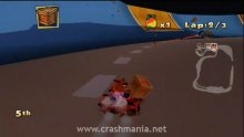 Crash Team Racing 2010 10.03.2014  (1)