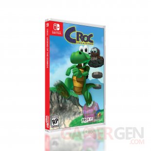 Croc Legend of the Gobbos Switch