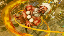  Dalhsim Street Fighter V (12)