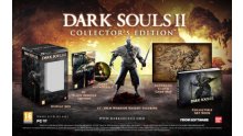 Dark Souls II Collector 11.03.2014  (2)