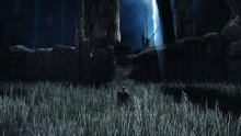 Dark Souls II images screenshots 14