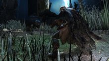 Dark Souls II images screenshots 16