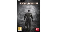 Dark Souls II jaquette PC 11.03.2014  (2)