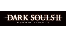 Dark Souls II Scholar of the First Sin 25.11.2014  (1)