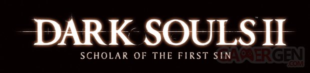 Dark Souls II Scholar of the First Sin 25.11.2014  (1)