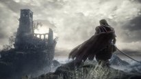 Dark Souls III (8)