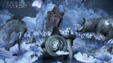 Dark Souls III Ashes of Ariandel image screenshot 2