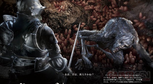 Dark Souls III Ashes of Ariandel image screenshot 3