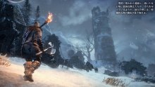 Dark Souls III Ashes of Ariandel image screenshot 7