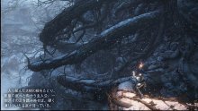 Dark Souls III Ashes of Ariandel image screenshot 8