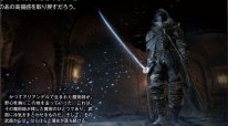 Dark Souls III Ashes of Ariandel image screenshot 9