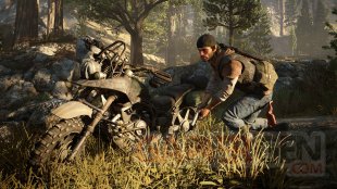 Days Gone images (5)