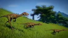 Découvrez Jurassic World Evolution Secrets du Dr Wu_Troodon_1_1080