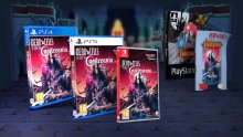 Dead Cells Return to Castlevania Edition Switch PlayStation.