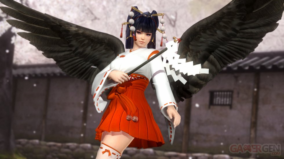 Dead or Alive 5 Last Round DLC costumes images (24)