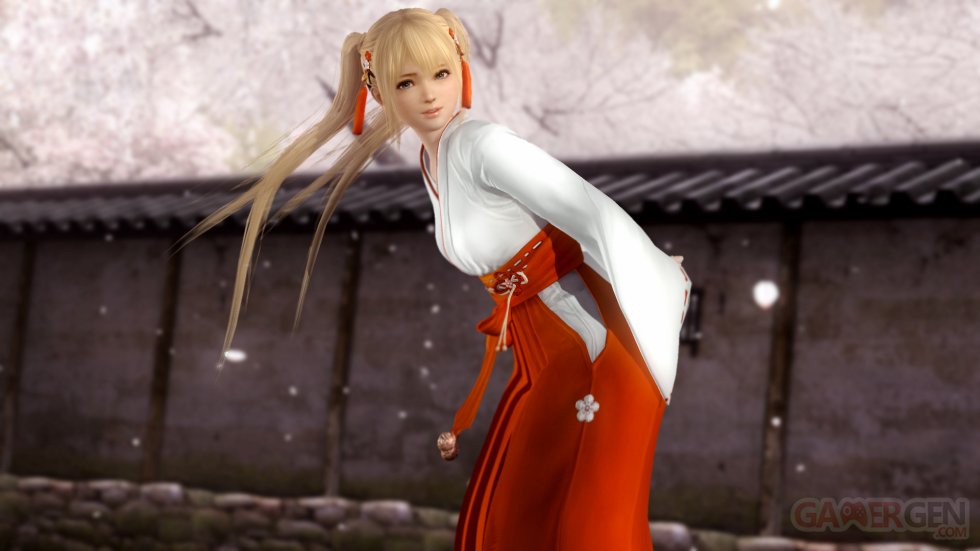 Dead or Alive 5 Last Round DLC costumes images (27)